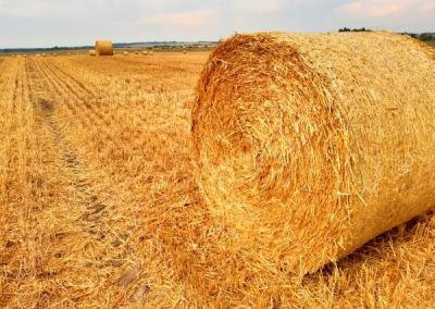 Asociatyvi nuotr. Gedimino Stanišausko nuotr.