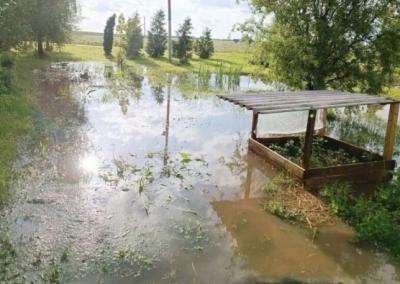 Nors daržai apsemti praktiškai visuose rajono kampeliuose, tačiau Krakių seniūnijoje skendo ne tik jie, bet ir gyventojų kiemai, gatvės ir net gyvenamieji namai. Gyventojų nuotr.