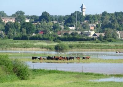 Potvynio rezultatas Žiežmariuose. Kaišiadorių 