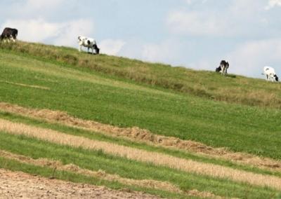 Asociatyvi BNS Kęstučio Vanago nuotr.