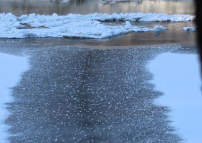 Upėje ledo danga niekada nebūna saugi. Gedimino Stanišausko nuotr.