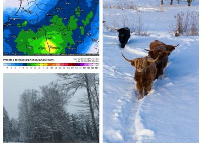 Sinoptikai praneša, kad iš Pietų Lietuvos link artėja sniegingas ciklonas.