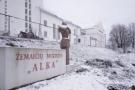 Miestelėnus glumino neseniai nupjauti medžiai prie Žemaičių muziejaus „Alka“. 