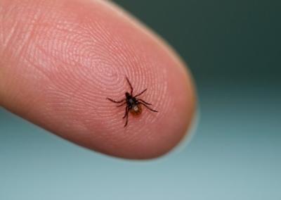 Asociatyvi nuotrauka.