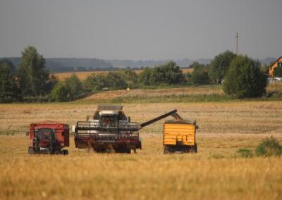 Asociatyvi nuotr. Gedimino Stanišausko nuotr.