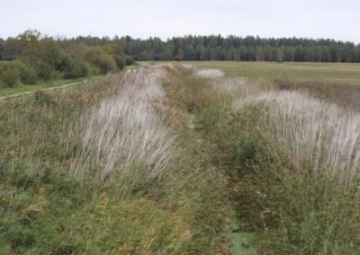 Asociatyvi nuotrauka.