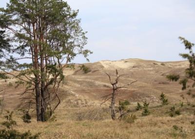 Kuršių nerija.