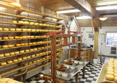 Sūrio gamyba.