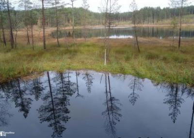 Asociatyvi nuotrauka.