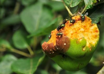 Asociatyvi nuotr.