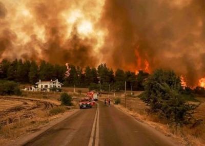 Miškų gaisrai Graikijos šiaurės rytuose.