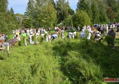 „Lino mūką“ atradę kraštiečiai ir šiais metais susibūrė Kaminskų sodyboje. Virginijaus Stumbrio nuotr.