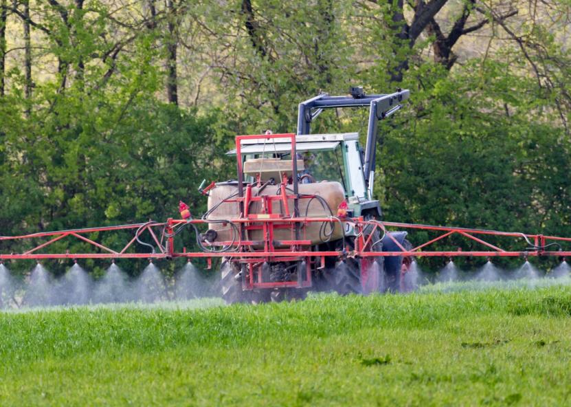 Asociatyvi nuotr. Canva nuotr. 