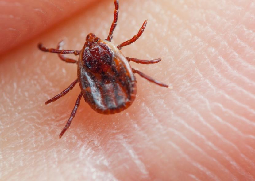 Asociatyvi nuotr. Canva nuotr. 