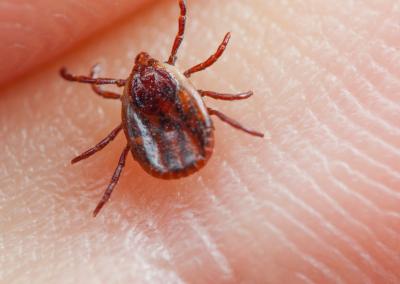 Asociatyvi nuotr. Canva nuotr.