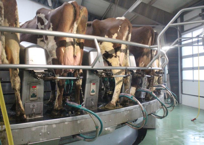 Asociatyvi nuotr. Gedimino Stanišausko nuotr.