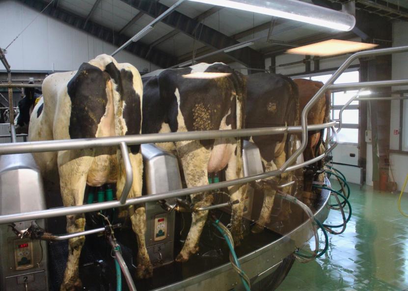 Asociatyvi nuotr. Gedimino Stanišausko nuotr. 