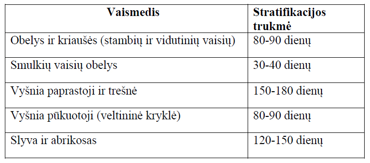 seklu stratifikavimas