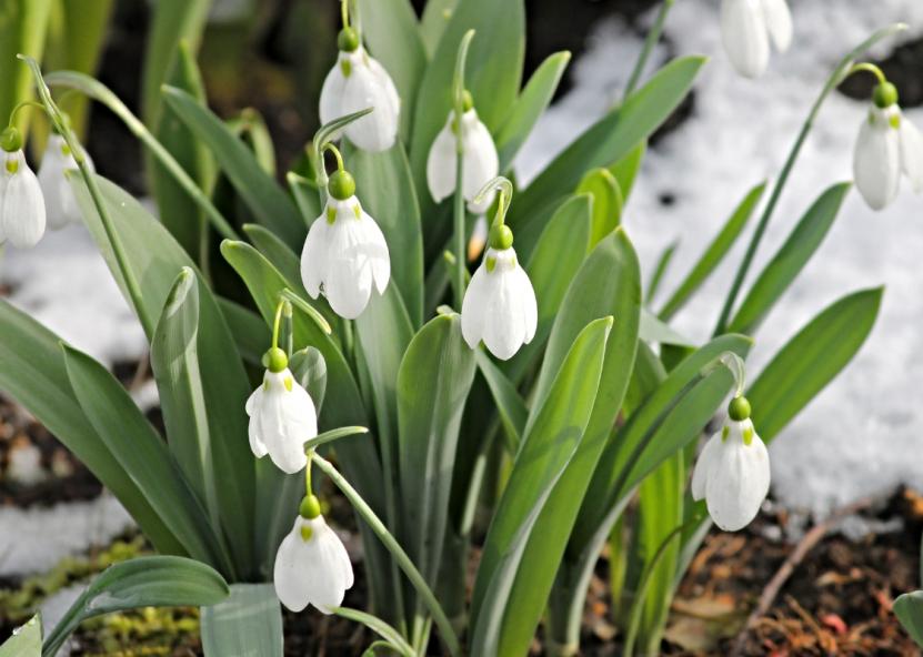 Asociatyvi nuotr. Canva nuotr. 