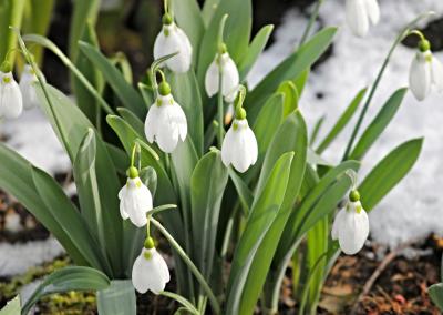 Asociatyvi nuotr. Canva nuotr.