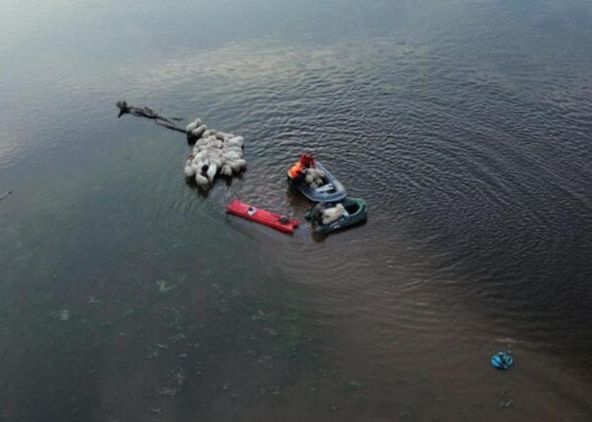 Avių gelbėjimo operacija Pašiliuose. Rinkos aikštė nuotr.