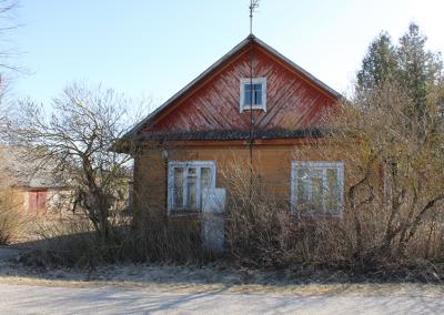 Utenos diena nuotr.