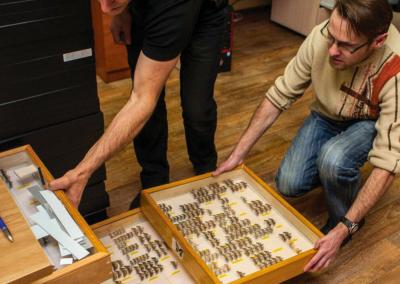 Daugiau nei pusšešto tūkstančio drugių kolekciją Vitalijus padovanojo Kauno Tado Ivanausko zoologijos muziejui, kur įsidarbino entomologu. Asmeninio albumo nuotr.