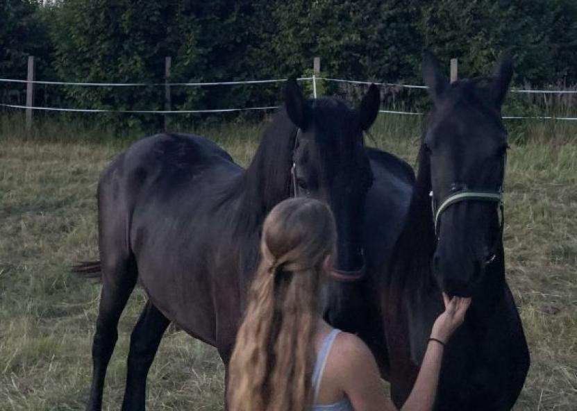 Kumelaitės Hera ir Mara. Rokiškio sirenos nuotr. 