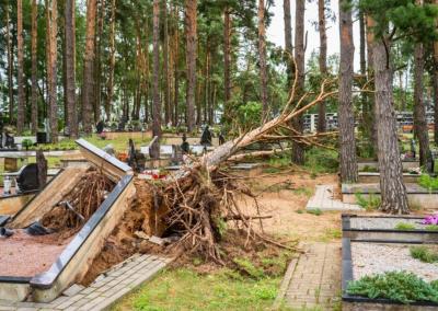 Vaizdas kapinėse pribloškė kapus tvarkančius žmones. Jūsų Panevėžys nuotr.