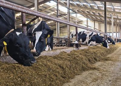 Asociatyvi nuotr. Gedimino Stanišausko nuotr.