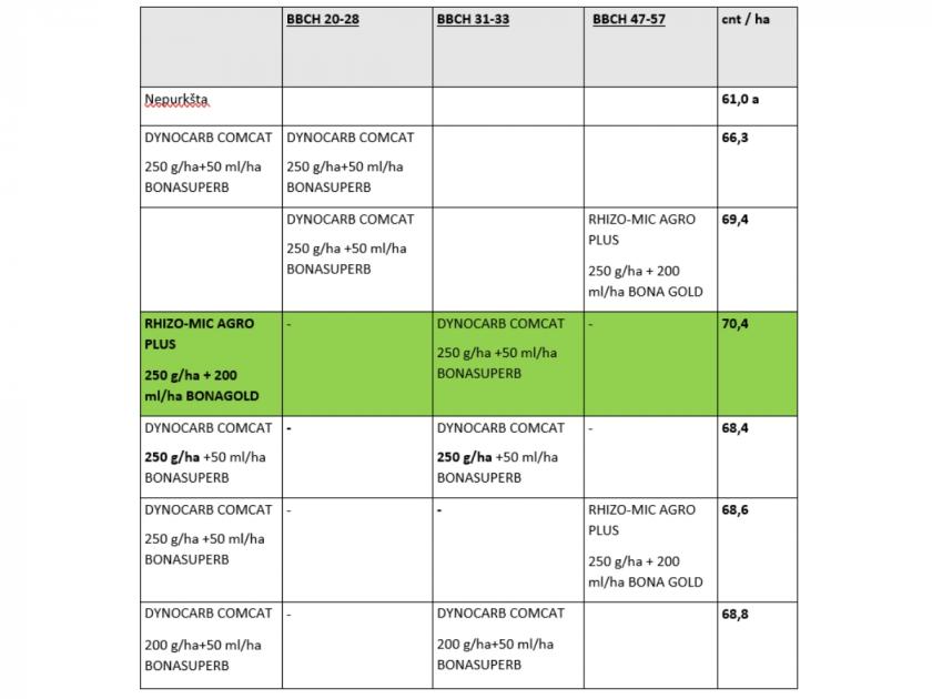 Asociatyvi nuotr. (15)