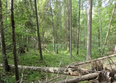 Saugomų teritorijų tarnybos nuotr.