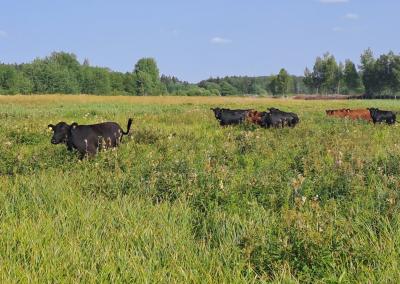 Saugomų teritorijų tarnybos nuotr.