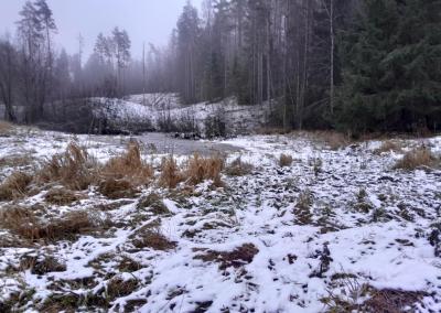 Zarasų rajonas, Salakas. Ramūno Šipkaus nuotr.