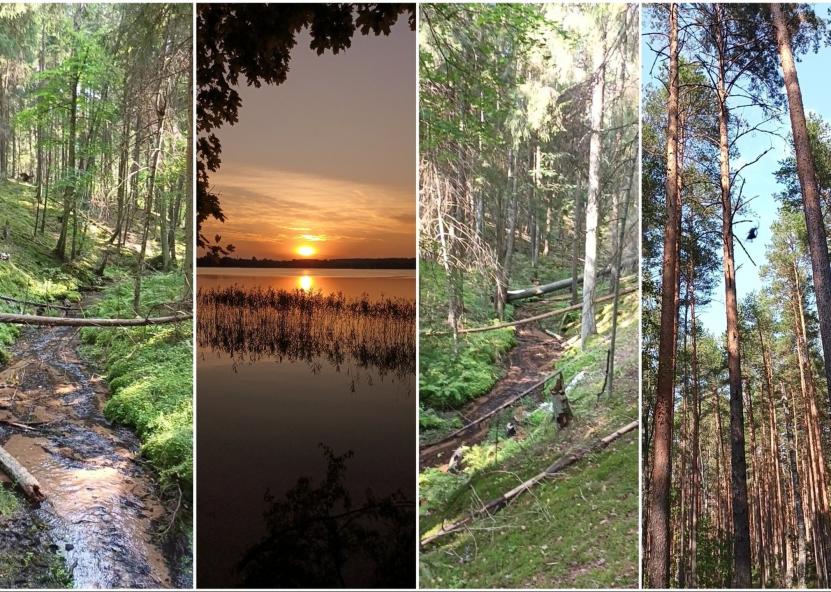 Saugomų teritorijų tarnybos nuotr. 