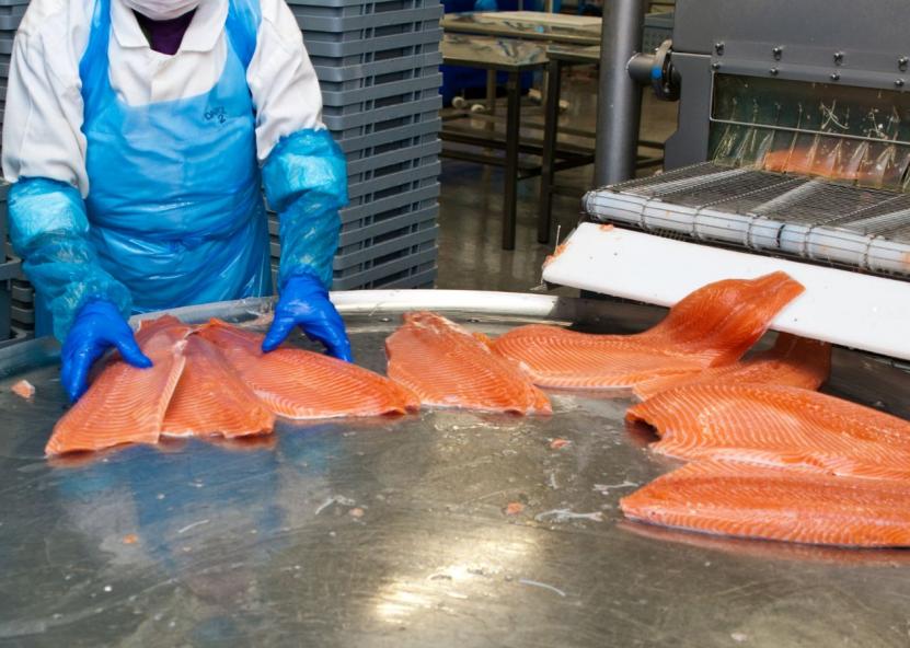 Asociatyvi nuotr. Canva nuotr. 