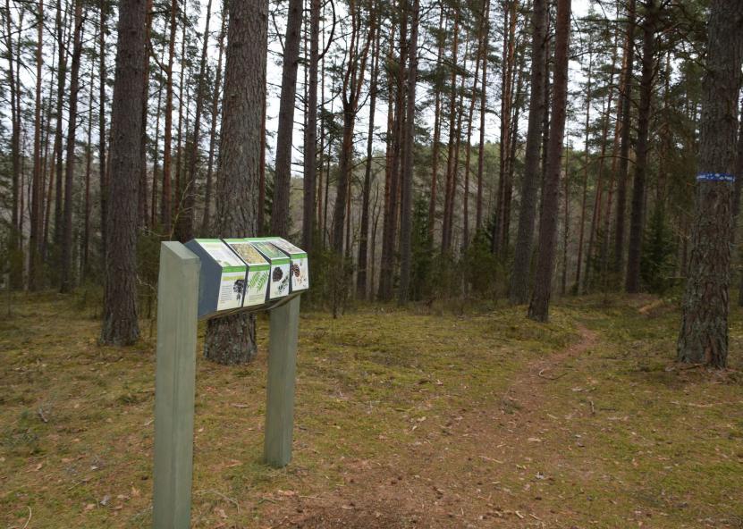 Saugomų teritorijų tarnybos nuotr. 