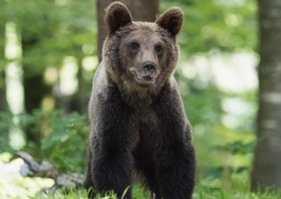 Asociatyvi nuotr. Šilutės naujienos nuotr.