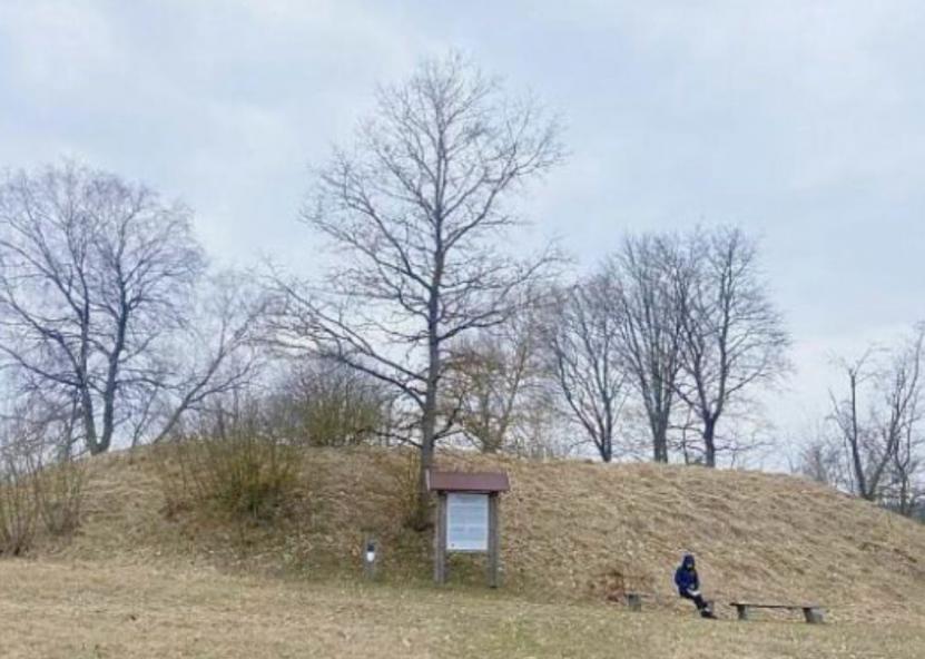 1253 metų Livonijos ordino ir vyskupo žemių dalybų akte minima „Birsine“ tapatinami su Biržuvėnais. Gali būti, šios pilies apygardos pagrindinė vieta buvo pilis ant Biržuvėnų piliakalnio. 