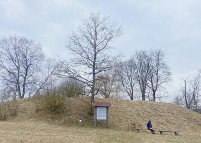 1253 metų Livonijos ordino ir vyskupo žemių dalybų akte minima „Birsine“ tapatinami su Biržuvėnais. Gali būti, šios pilies apygardos pagrindinė vieta buvo pilis ant Biržuvėnų piliakalnio.