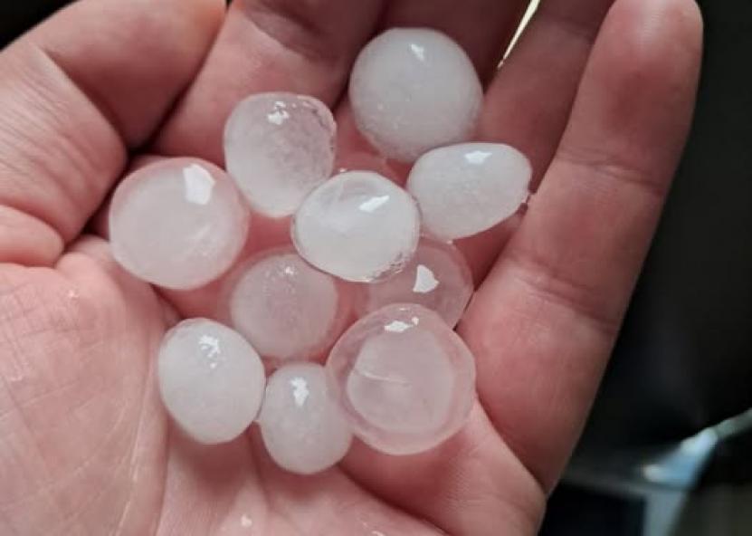 Justina Širdele. Orų entuziastai. Šilales rajonas, Kaltinėnai 