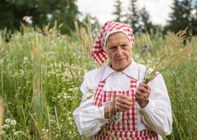 „Trakiškio žolininkės“: pavasario šalnos kirto ir vaistažolių derliui. Jūsų Panevėžys nuotr.