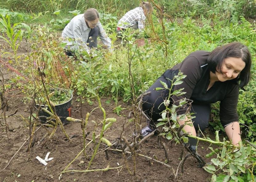 Savanoriai tvarkė Traupio botanikos sodą. Linos Rakauskienės nuotr. 