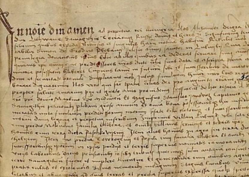 Didžiojo kunigaikščio Aleksandro 1493 metų privilegija Luokės bažnyčiai, kuriai padovanojamos Paškuvėnų, Pateklėnų, Tauragėnų ir Papilės žemės. 