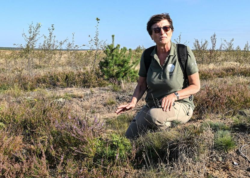 Valstybinės saugomų teritorijų tarnybos gamtosaugos ekspertė dr. Dalytė Matulevičiūtė. 
