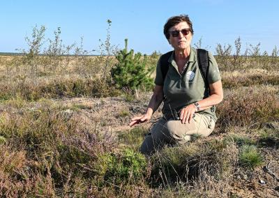 Valstybinės saugomų teritorijų tarnybos gamtosaugos ekspertė dr. Dalytė Matulevičiūtė.