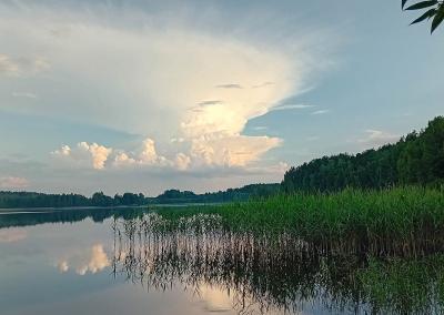 Autorės nuotr.