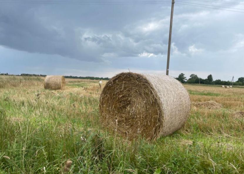 Įrodyti patirtus nuostolius nėra paprasta. Gedimino Nemunaičio nuotr. 