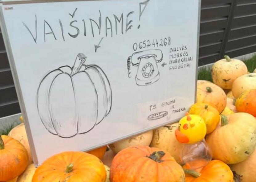 Ūkininkas iš Lazdijų Žilvinas Lukoševičius Vilniaus gatvėje padėjo krūvą moliūgų su užrašu „Vaišiname“ – kas nori, gali pasiimti nemokamai ar atsilyginti savo noru. Dinetos Babarskienės nuotr. 
