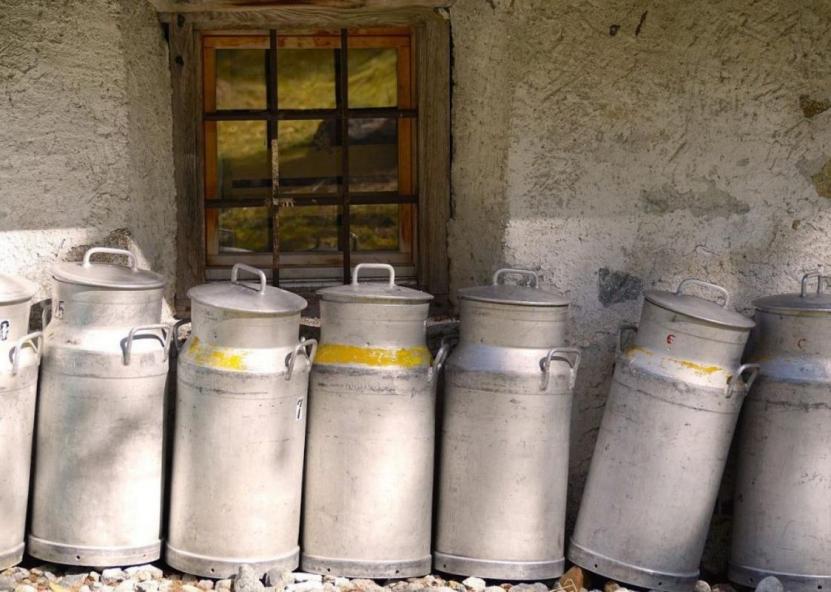 Asociatyvi nuotr. Pieno ūkis nuotr. 